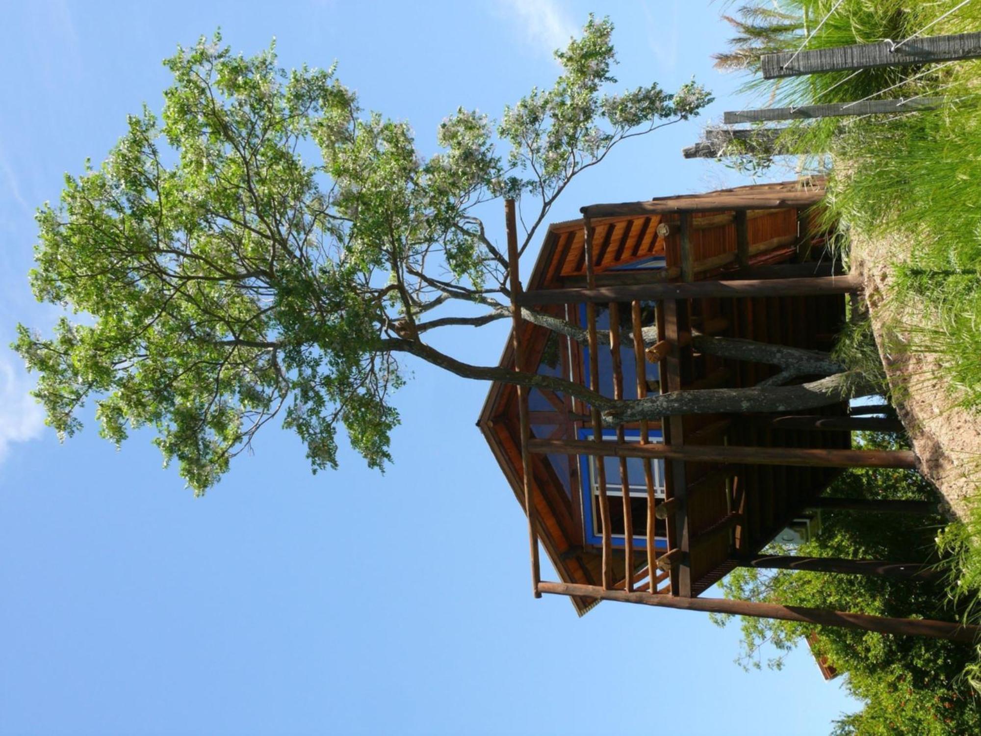 Cabanas De La Ribera San Pedro  Luaran gambar