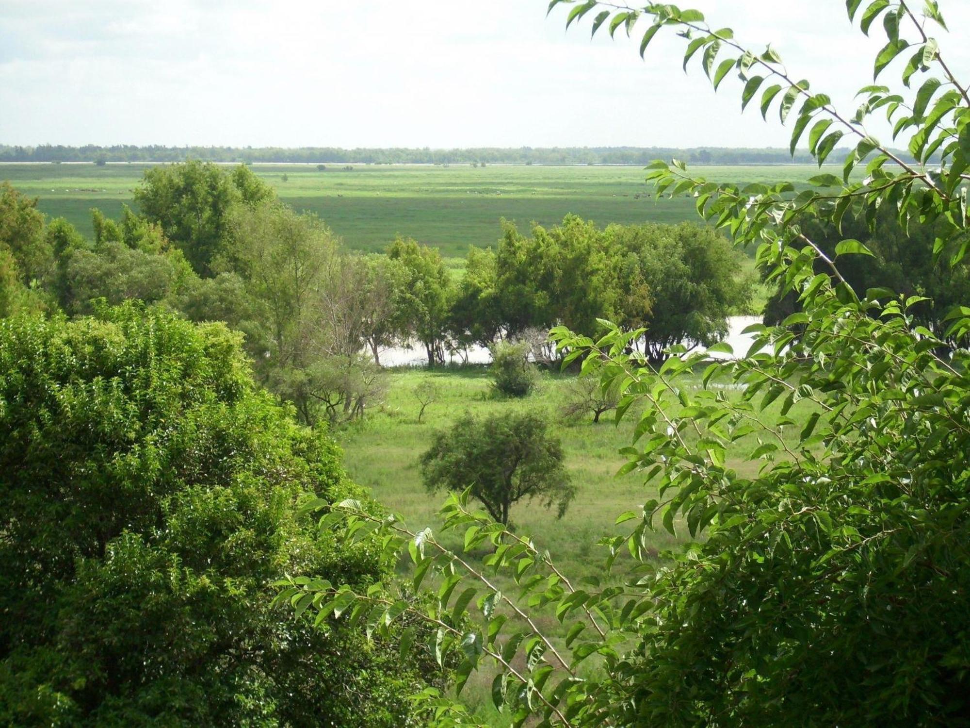 Cabanas De La Ribera San Pedro  Luaran gambar